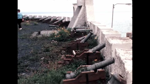Row of Cannons Video stock 278240490