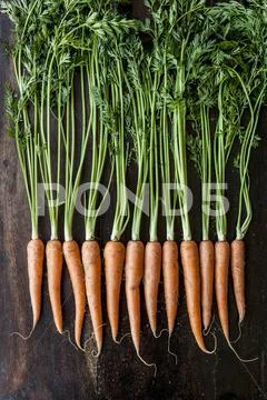A row of carrots on a wooden surface Stock Photos