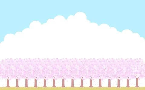 A row of cherry blossom trees in full bloom side by side, a background of blue Stock Illustration