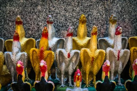The row of chicken doll Stock Photos