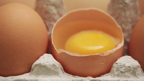 Row of chicken eggs and one egg open, close-up, side view. Stock Footage 142318688