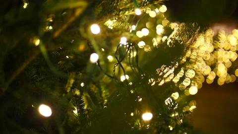 Row of christmas trees full of lights at night close up Stock Footage 166663872