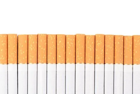 Row of cigarettes on white background Stock Photos