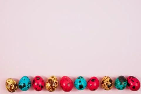 A row of colored painted quail eggs for Easter Stock Photos