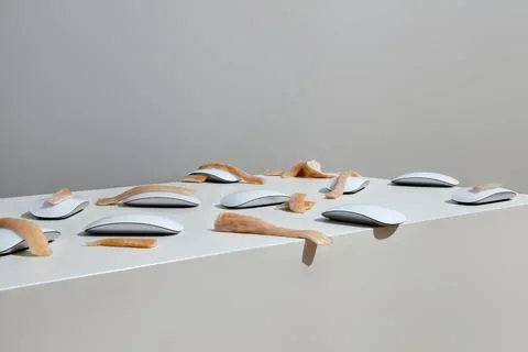 A row of computer mice are arranged on a white surface, each with a slice o.. Foto stock