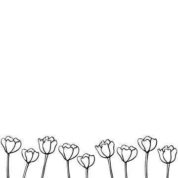 Row of contour tulip flowers. Vector hand drawn spring background isolated. H Stock Illustration