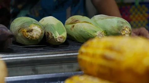 A row of corn cobs roasts on a wire rack, absorbing smoky flavors from the Stock Footage 312108909