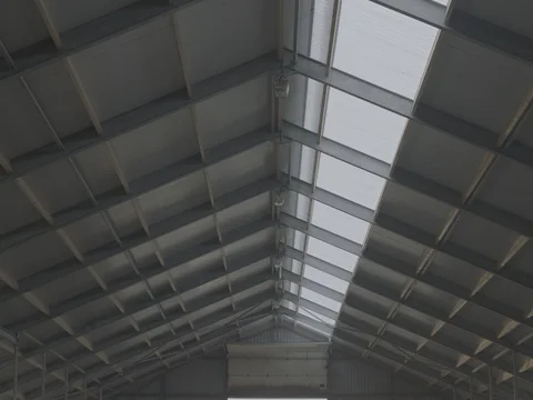 Row of cows having fodder in the shed Stock Footage 73684500