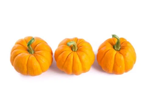 Row of decorative orange pumpkins Foto stock