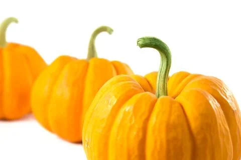 Row of decorative orange pumpkins Stock Photos