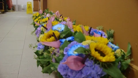 Row Of Different Flowers Put On The Ground Stock Footage 126701067