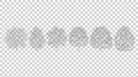 Row of diverse trees in elevation view isolated on transparent background Stock Illustration