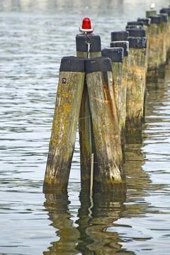 Row of dolphins in the harbour basin Stock Photos