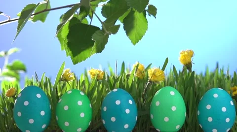 Row of Easter eggs in Fresh Green Grass. Video stock 55904540