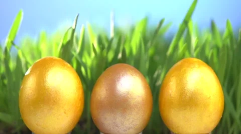 Row of Easter eggs in Fresh Green Grass. Video stock 55904624