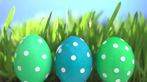 Row of Easter eggs in Fresh Green Grass. Vídeo Stock 55904628