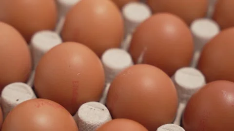 A row of eggs in a cardboard box. Stock Footage 286960659