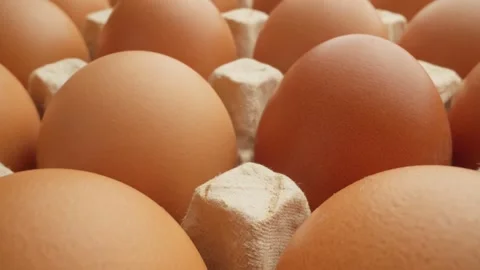 Row of eggs. Fresh chicken eggs in packaging. Dolly shot using probe lens Stock Footage 290106809