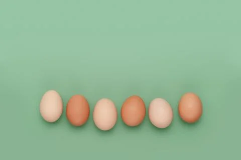 Row of eggs. Fun Easter background Stock Photos