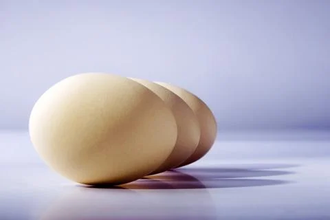A row of eggs Stock Photos