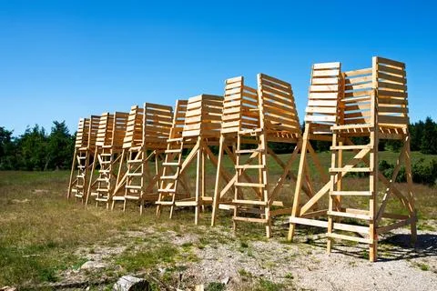 Row of elevated wooden platforms with ladders in open field, modular timber.. Stock Photos