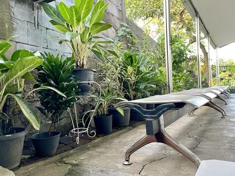 Row of Empty Metal Waiting Chairs and Potted Plants in an Outdoor Area Foto stock
