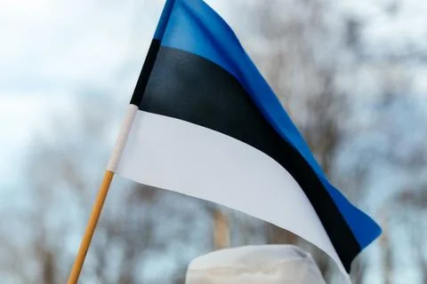 A row of Estonian flags waves in the winter sun, decorating a historic Stock Photos
