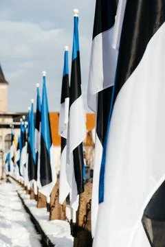 A row of Estonian flags waves in the winter sun, decorating a historic Stock Photos