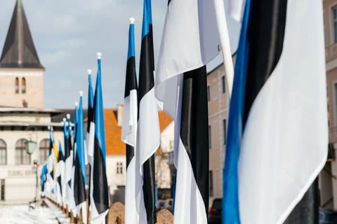 A row of Estonian flags waves in the winter sun, decorating a historic Stock Photos