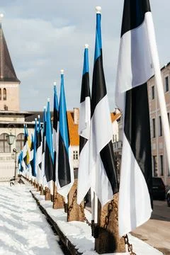 A row of Estonian flags waves in the winter sun, decorating a historic Stock Photos