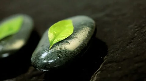 Row of Five Black Spa Therapy Stones Stock Footage 8357941