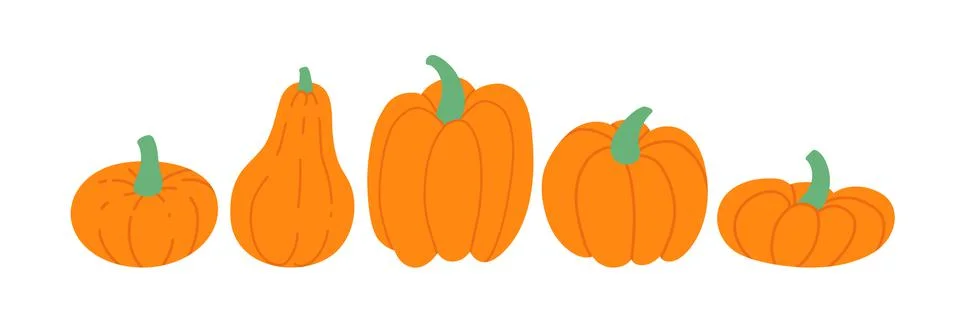 Row of five pumkins. Vector flat illustration isolated on white. Stock Illustration