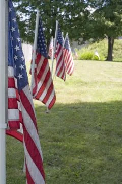 Row of Flags Stock Photos