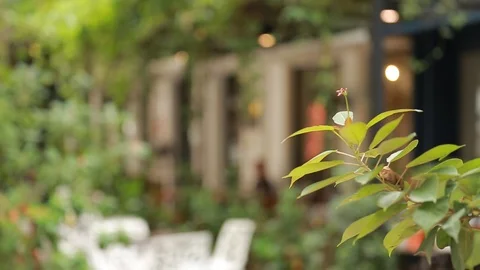 The Row Stock Footage 105644250