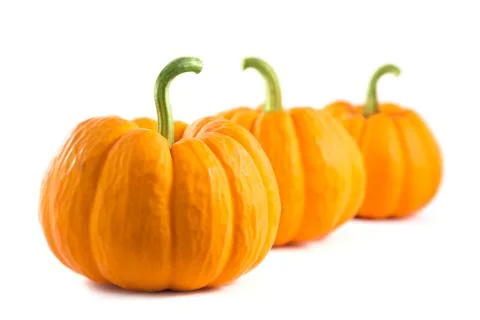 Row of fresh orange pumpkins 스톡 사진