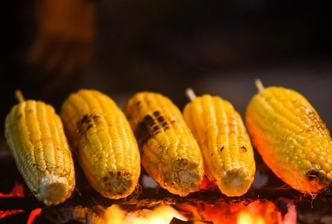 Row of Fresh Yellow Corn Cobs Grilling Over Hot Glowing Charcoal Embers Stock Photos