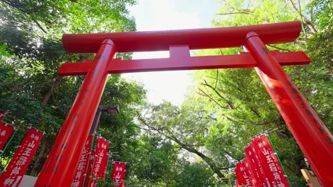 The Row of Gates Torii path in Hie Shinto shrine in Minato, Tokto, Japan. Torii. Stock Footage 253899953