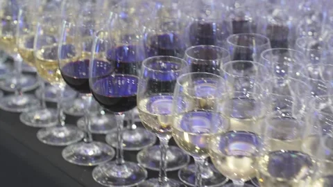 A row of glasses with red and white wine Vídeo Stock 291932105