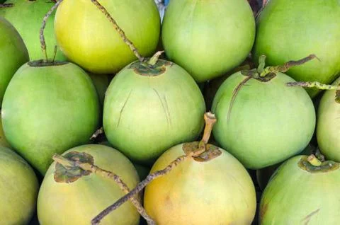 Row of green coconuts textured background. Detail at fruit market in Bali. Stock Photos