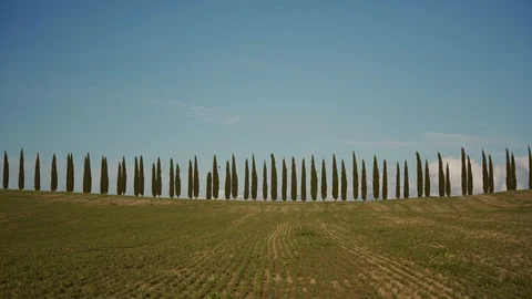 Row of green cypress trees under clear blue sky on sunny day. Side view. Tuscany 库存影片 124178193