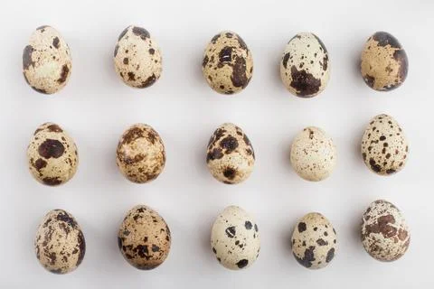 Row Grid of Small Quail Eggs on White Background Stock Photos