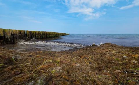 Row of Groynes Stock Photos