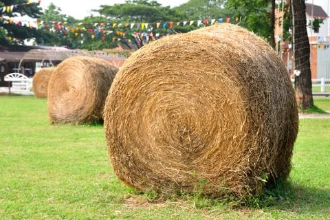 Row of haystack in garden. Stock Photos