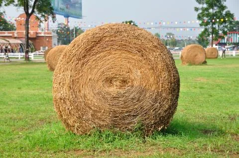 Row of haystack in garden. 库存照片