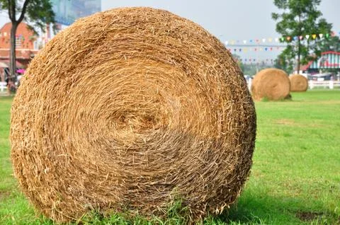 Row of haystack in garden. Stock Photos