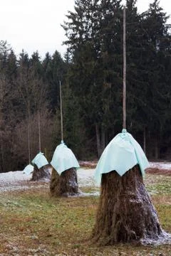 A row of haystacks Foto stock