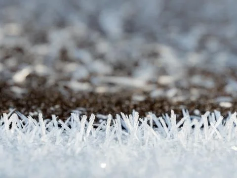 Row of ice crystals on ice edge Stock Photos