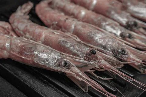 Row of langoustine pattern gray tinted background marine delicacy closeup Foto stock