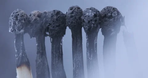 A row of matches are burnt 스톡 동영상 129562733