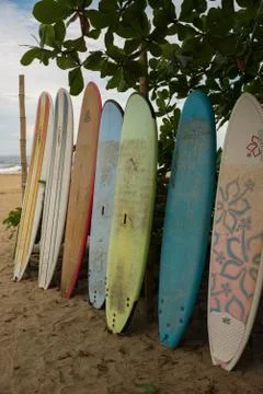 A row of multi-coloured surf long boards lined up for hire on a beach at Puerto Stock Photos